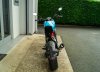 view this image