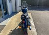 view this image